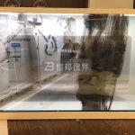 透明LED屏制作方案在優(yōu)化用戶(hù)體驗(yàn)方面具備哪些創(chuàng)新優(yōu)勢(shì)？
